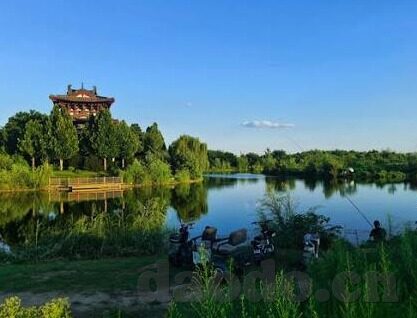 91精品国产福利在线观看麻豆-一探91精品国产剧在新潮流中的独特魅力——麻豆的视角
