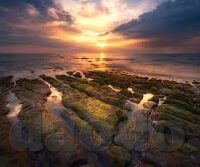 91麻豆天美星空蜜桃传媒-探索数字媒体平台的多元化与影响，91麻豆天美星空蜜桃传媒案例研究