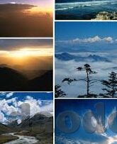 app糖心下载-寻找心灵的甜蜜栖息地，探索软件糖心的魅力与下载指南