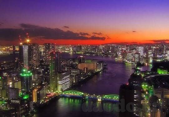 国产成人免费视频在线播放-国产成人视频的多元化视角与网络文化新探索
