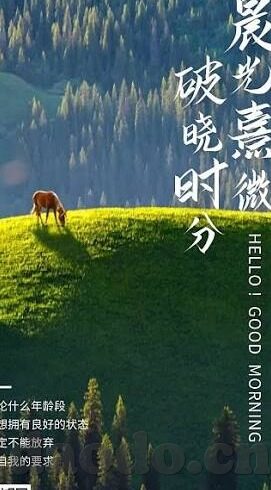 麻豆啊传媒app官网-一篇关于细品麻豆啊传媒app官网的赏析