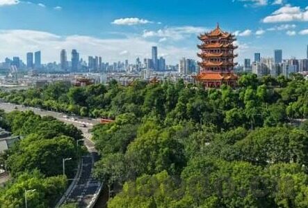 麻豆传媒app破解版下载免费版下载-探秘在线娱乐的便利—麻豆传媒app的免费下载与分享