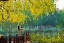 糖心app旧版本下载-探寻经典回响，解锁糖心app往昔版本的下载之旅