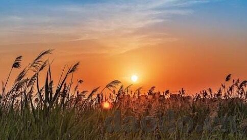 糖心vlog免费版在线观看-窥探生活乐趣，揭秘糖心vlog免费版的在线观赏世界